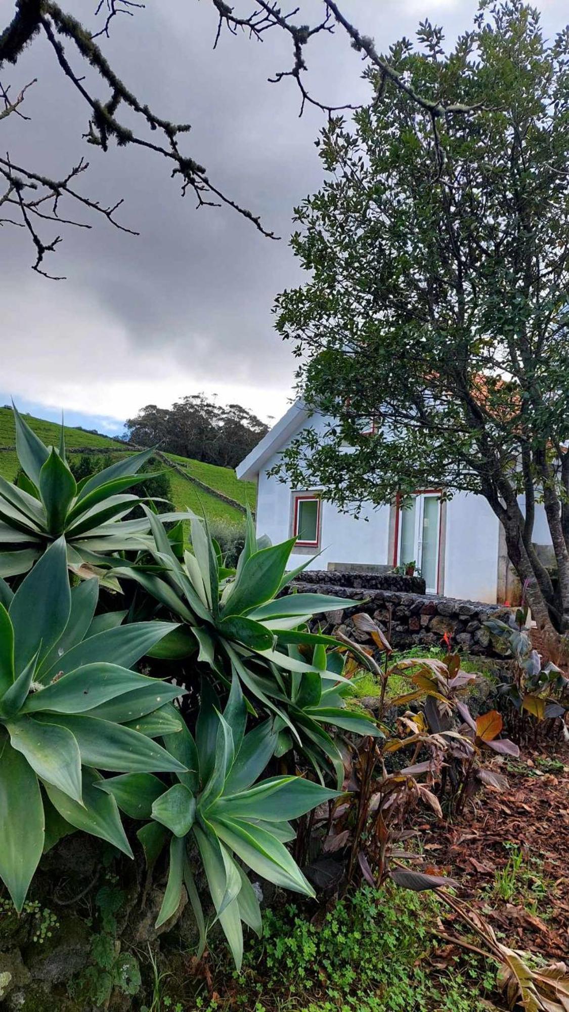 Casa De Campo Franco Da Serra Angra do Heroísmo Exteriér fotografie