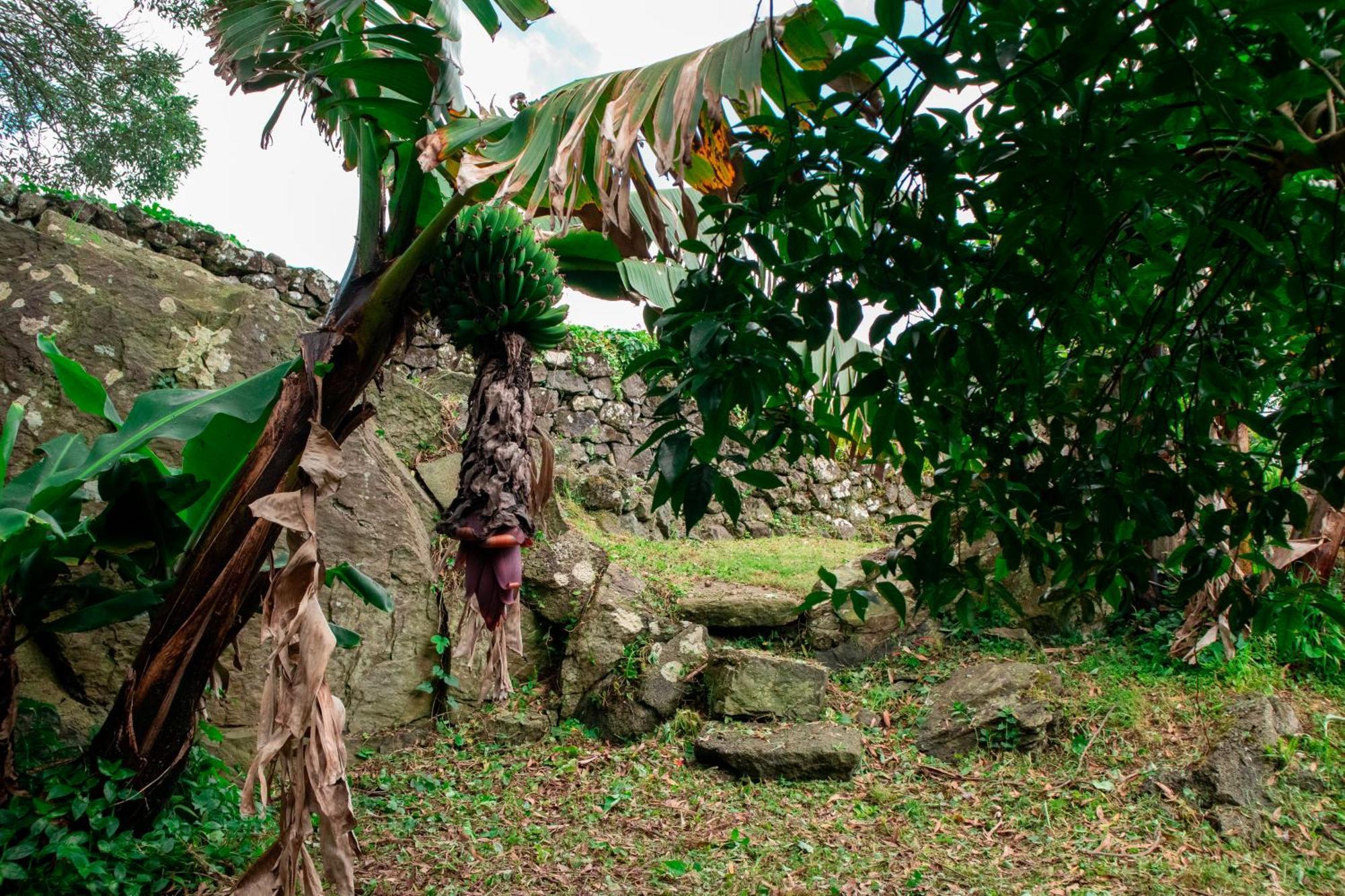 Casa De Campo Franco Da Serra Angra do Heroísmo Exteriér fotografie