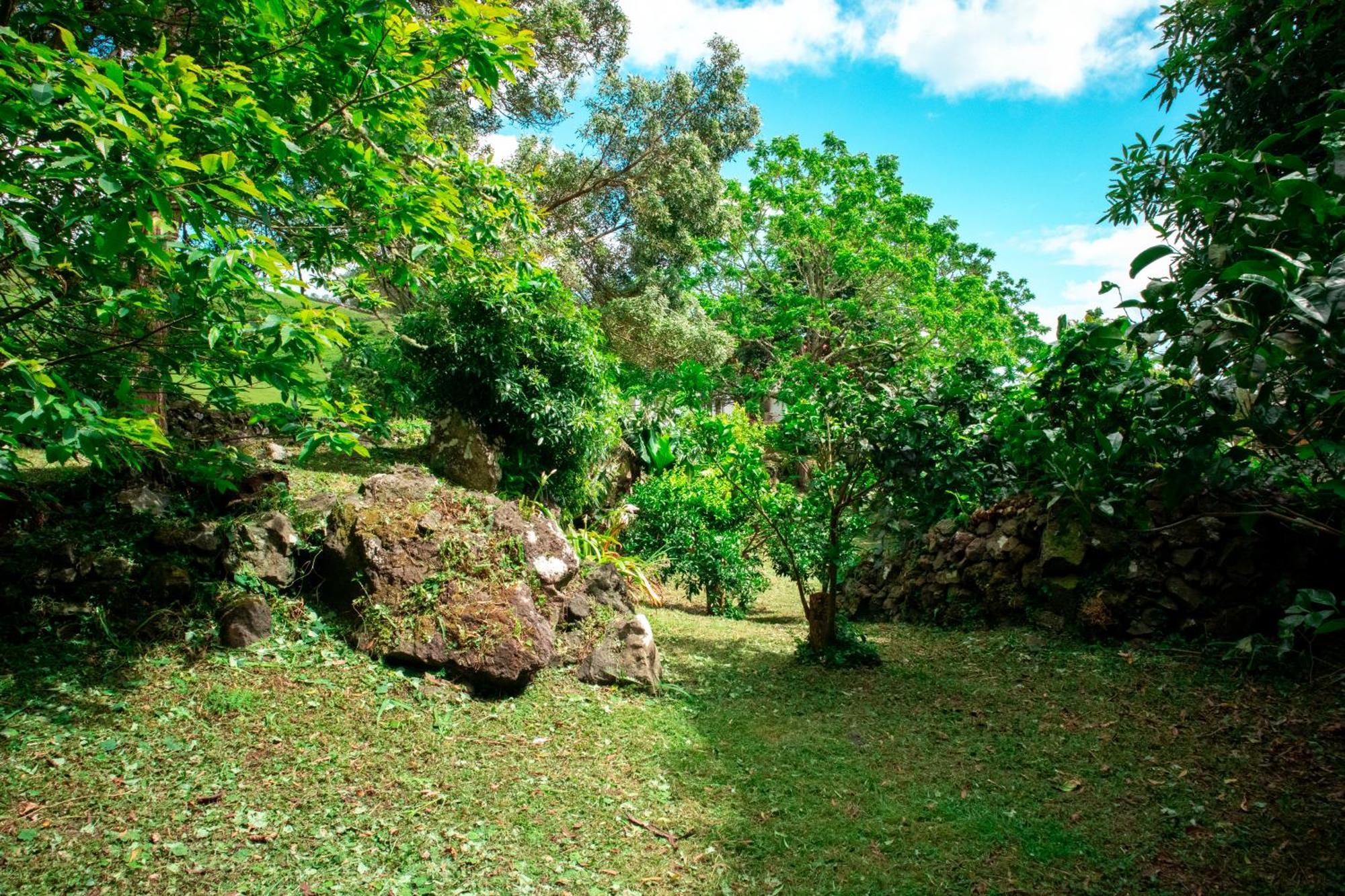 Casa De Campo Franco Da Serra Angra do Heroísmo Exteriér fotografie