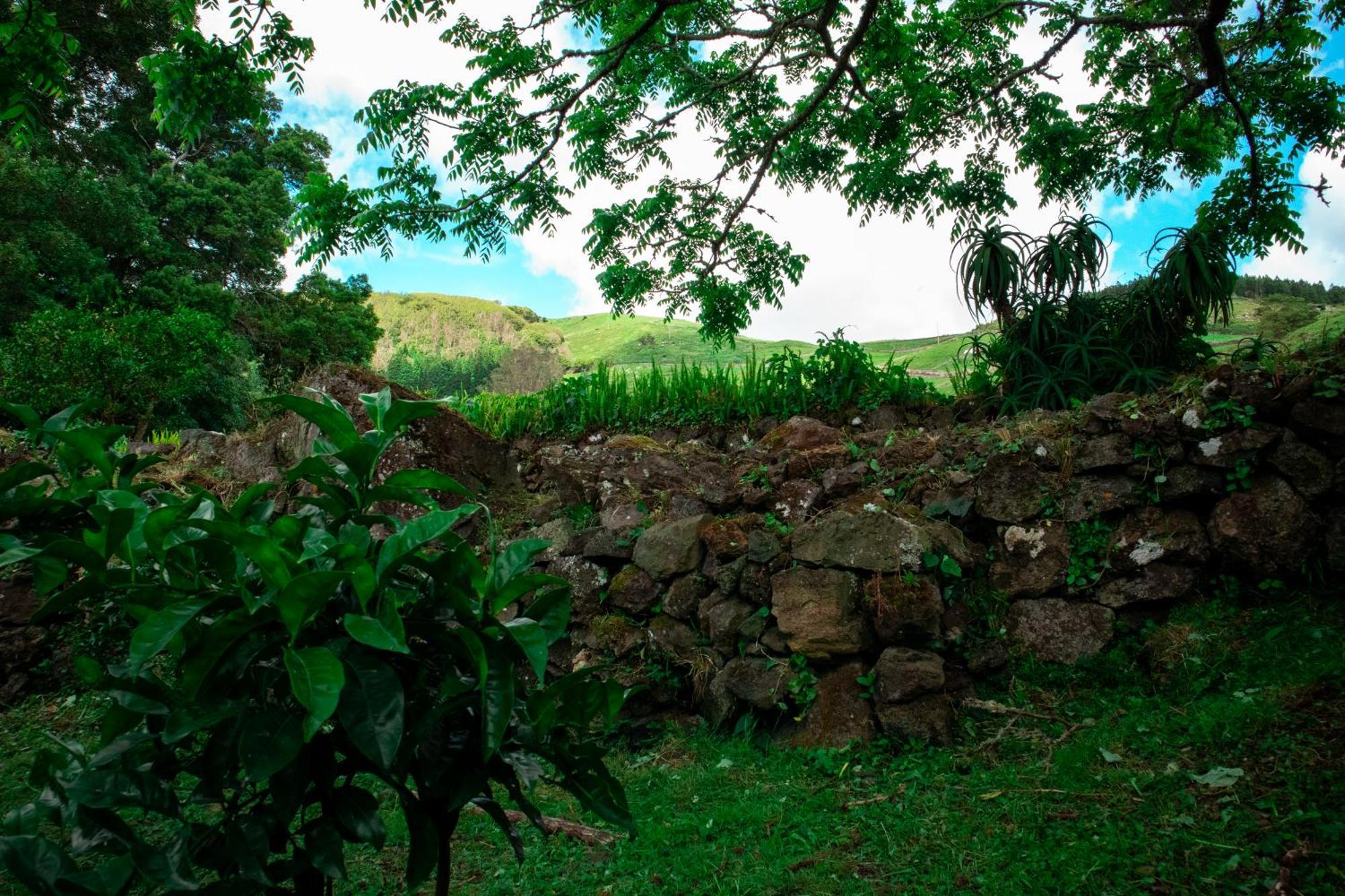 Casa De Campo Franco Da Serra Angra do Heroísmo Exteriér fotografie